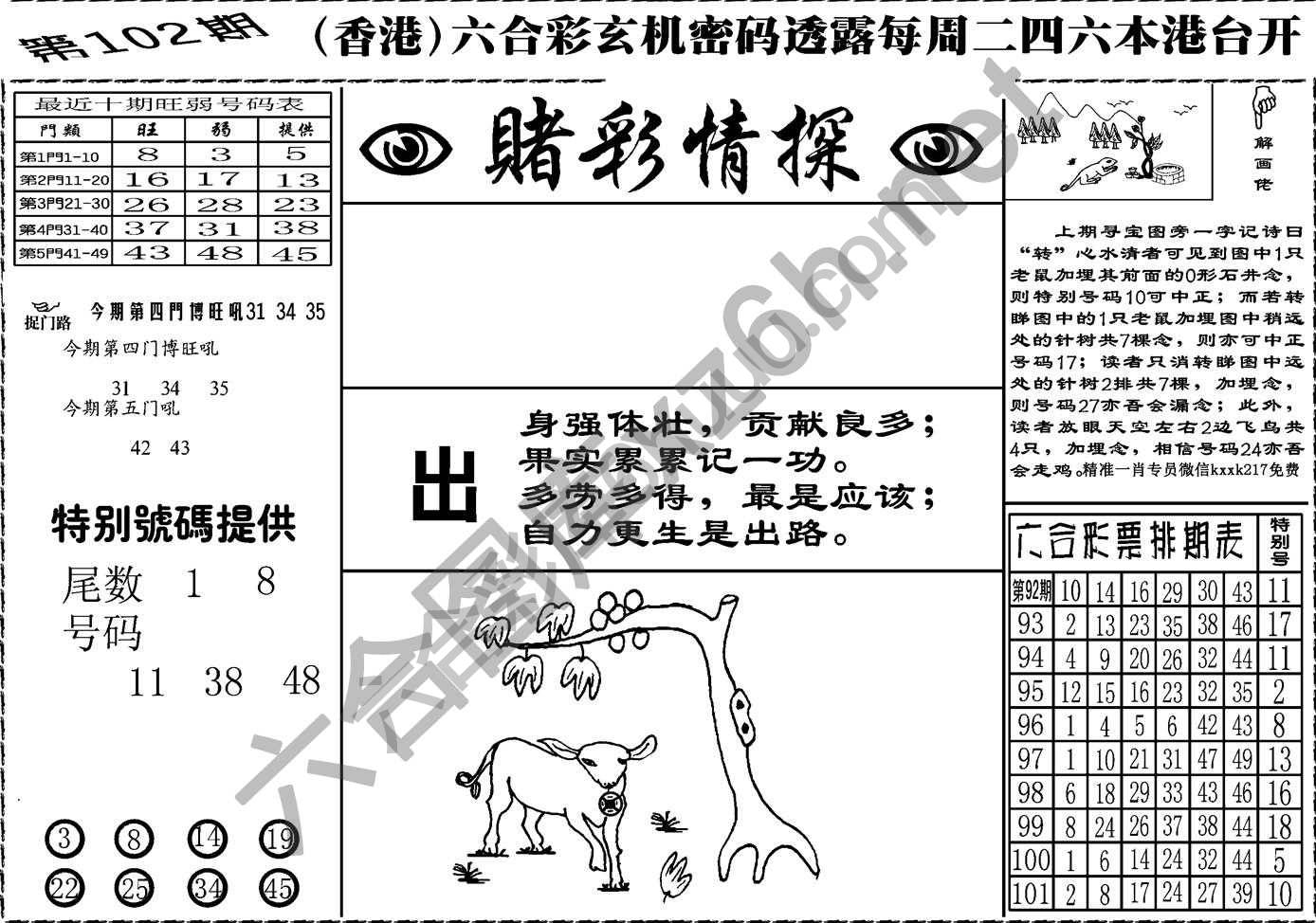 赌彩情探