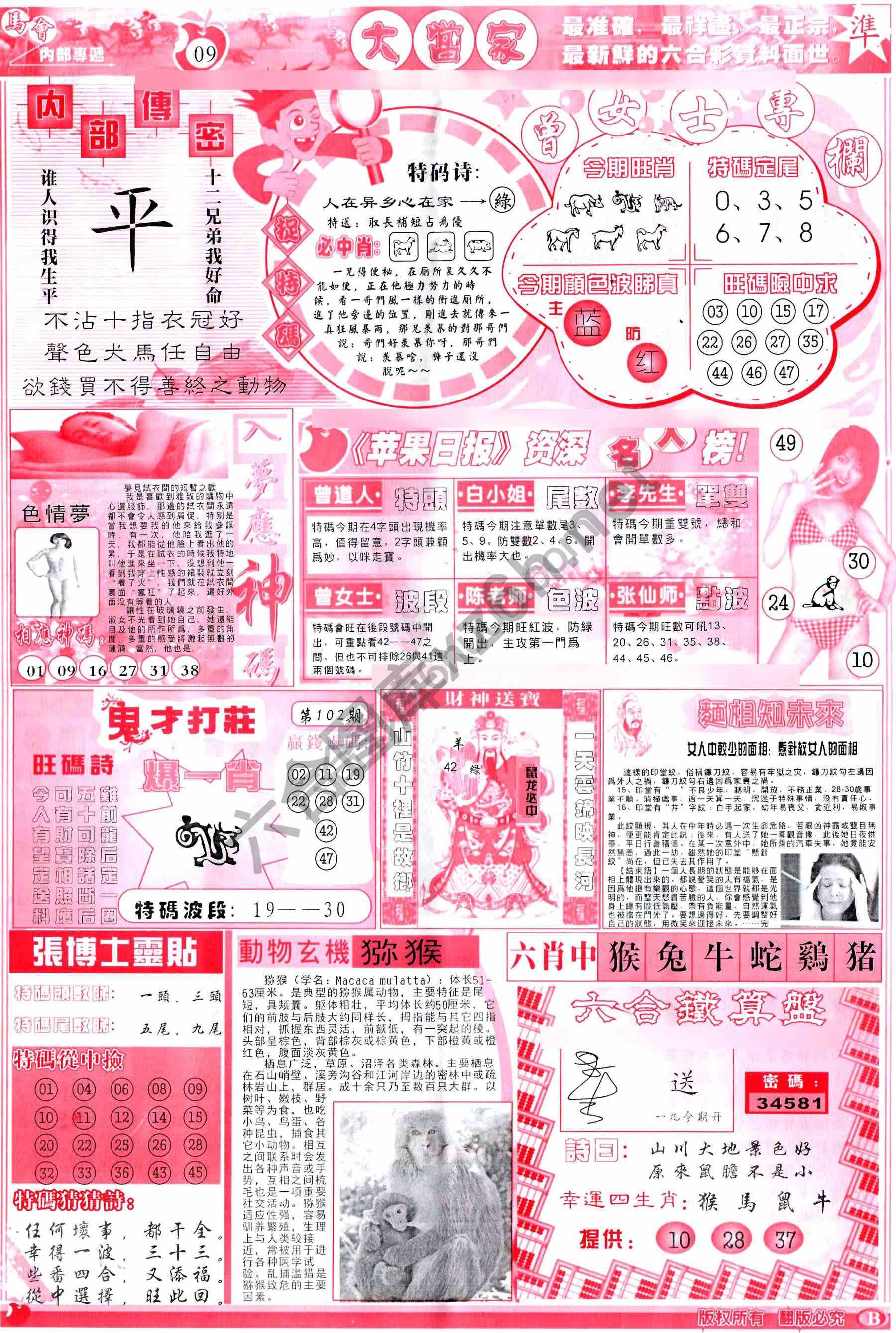 大当家