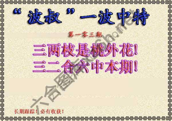 波叔一波中特