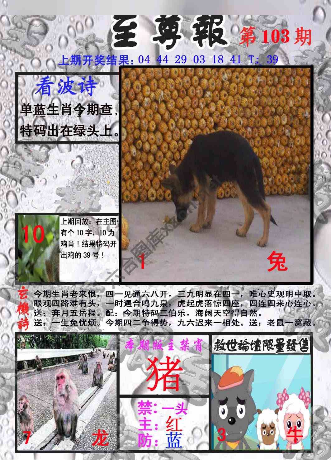 至尊报
