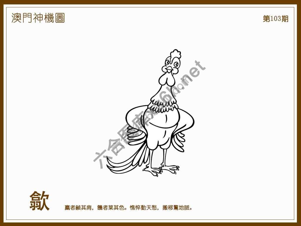 澳门神机图