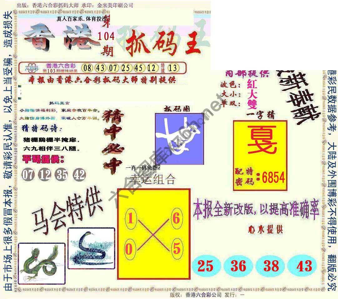 新抓码王