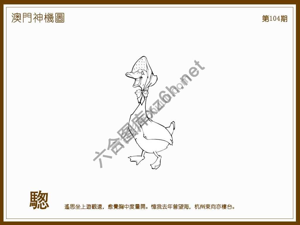 澳门神机图