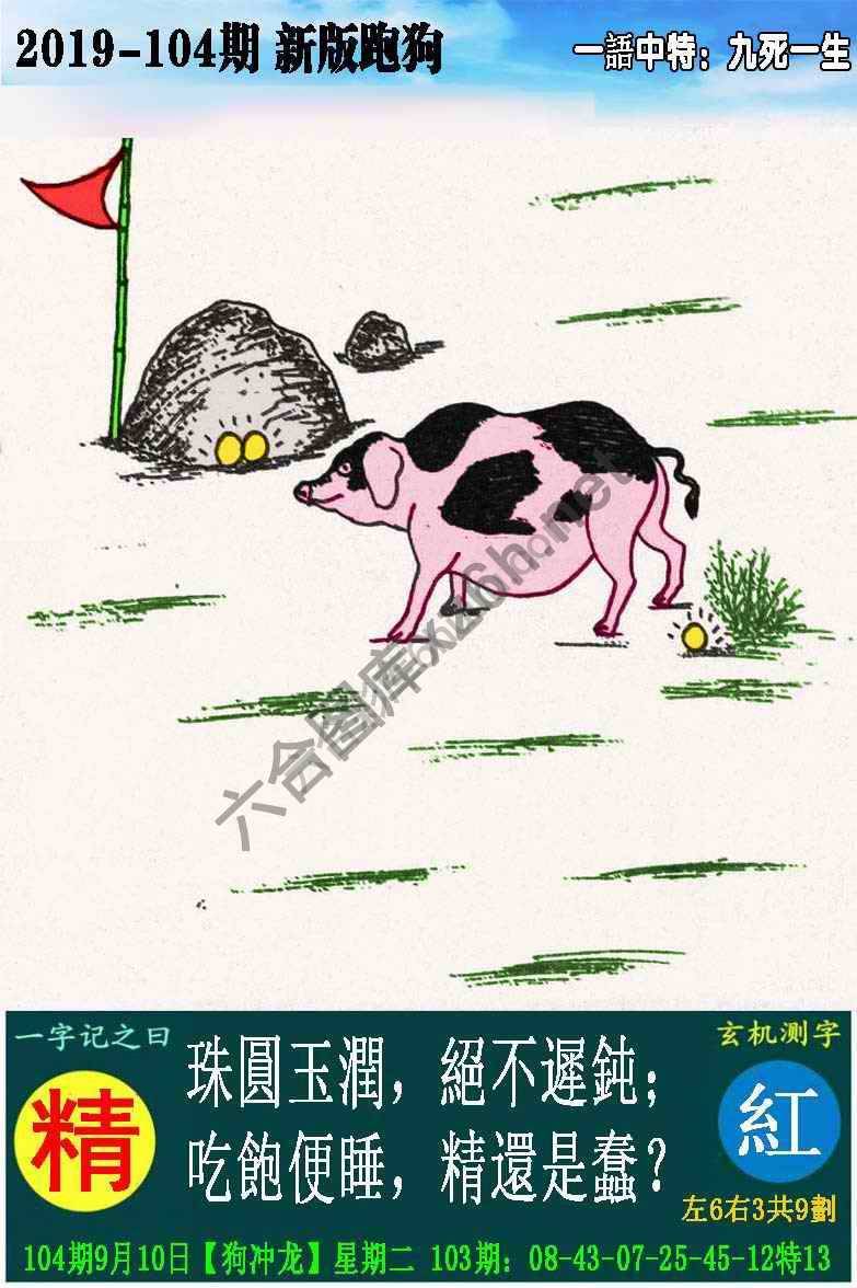 跑狗图（新版）