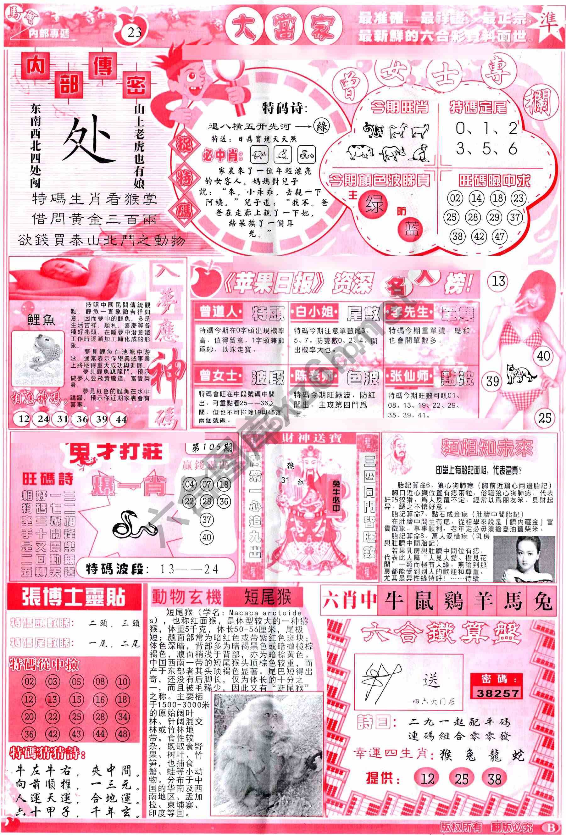 大当家