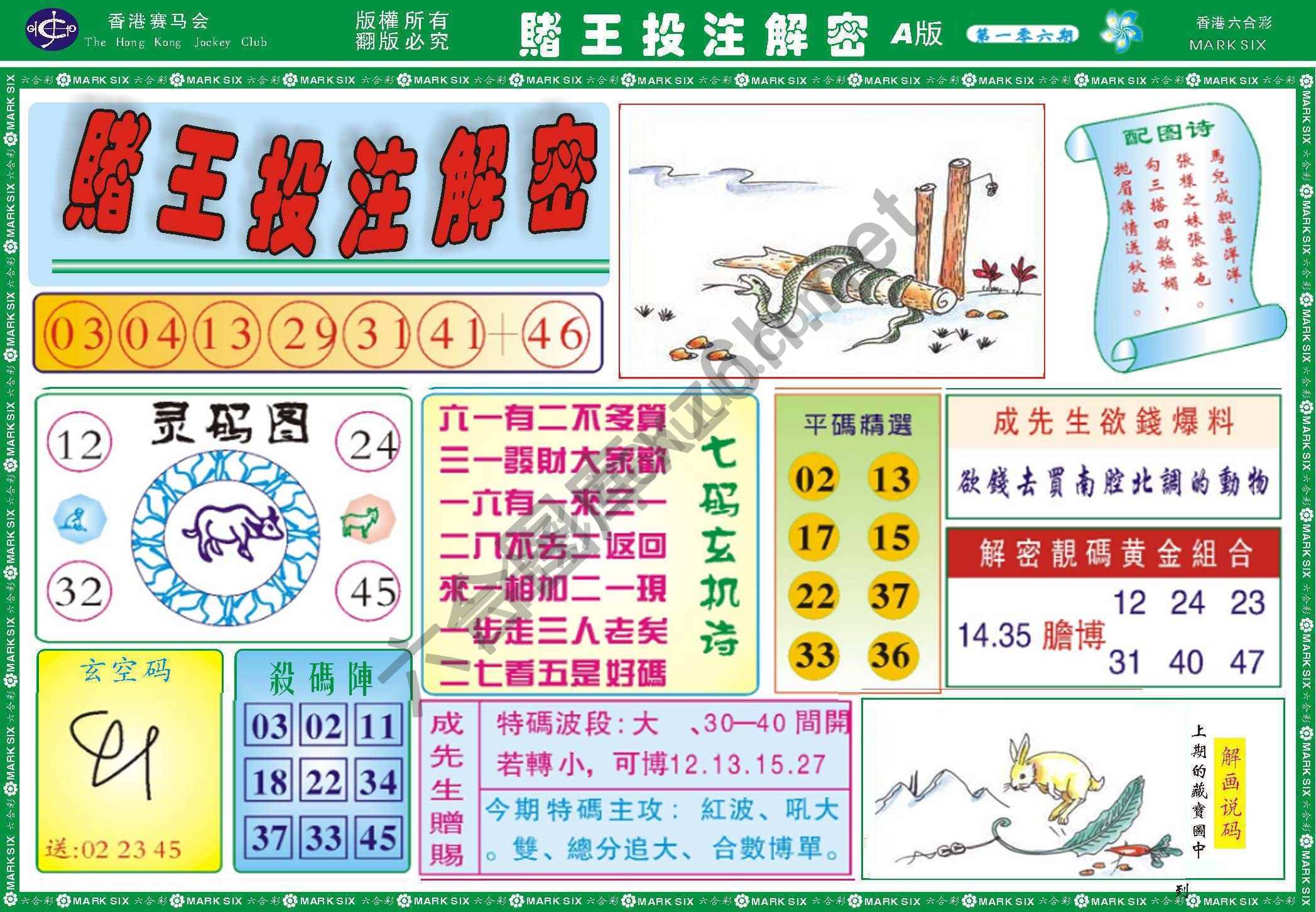 赌王投注解密