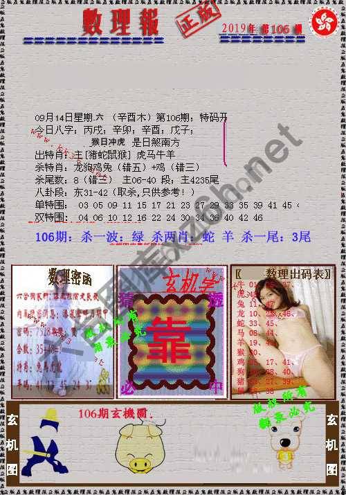 数理报