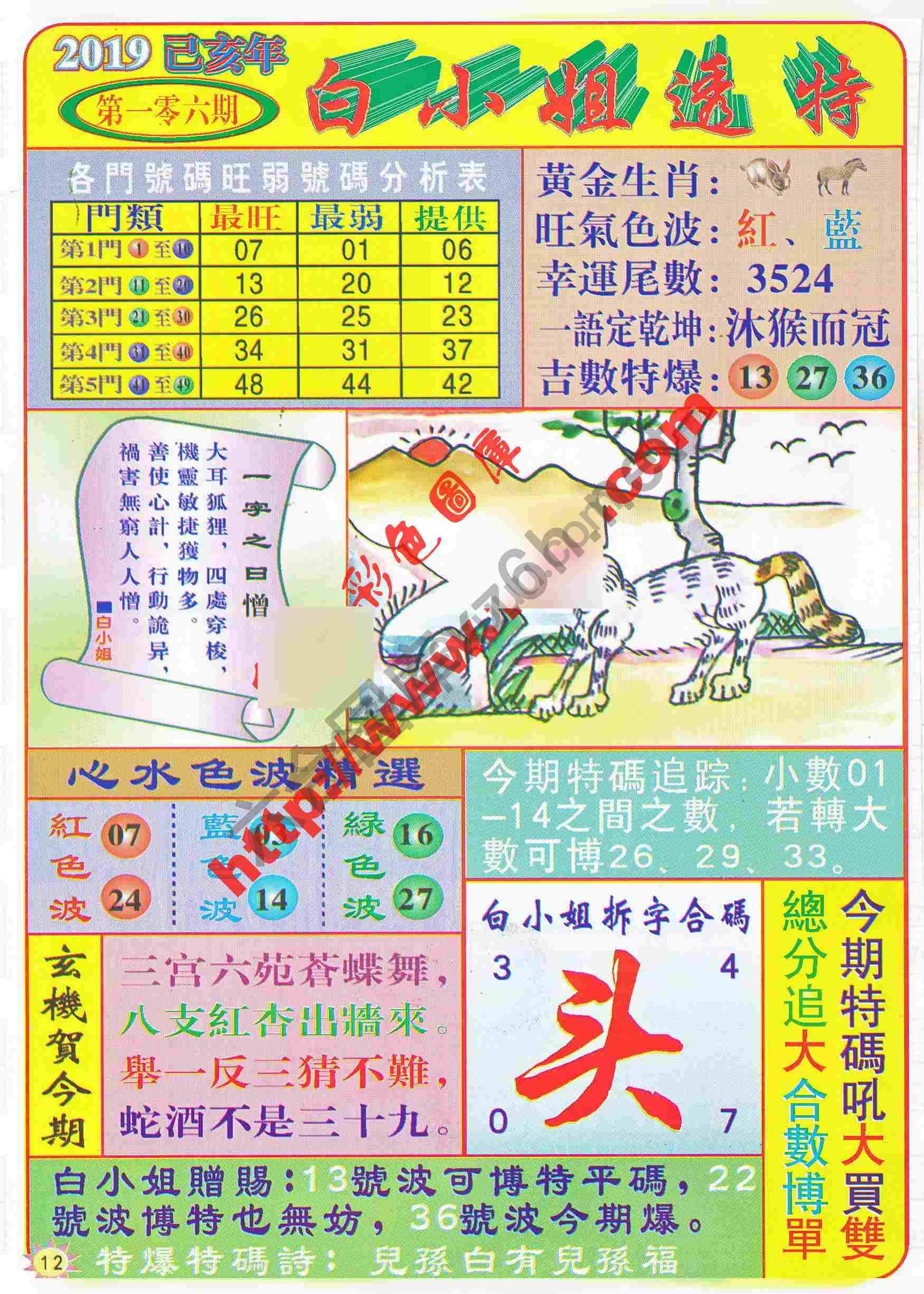 白小姐透特