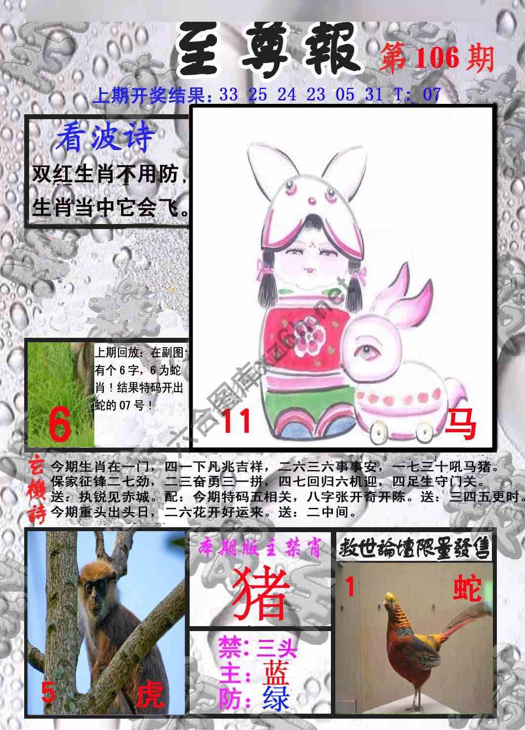 至尊报