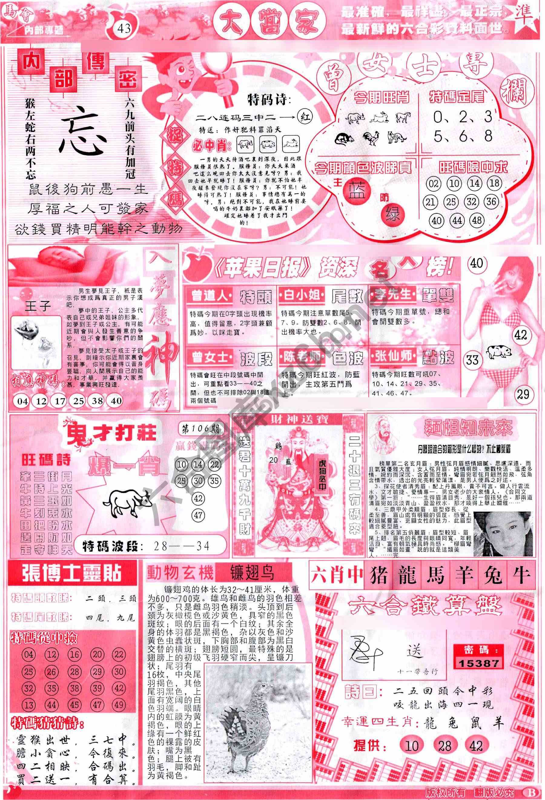 大当家