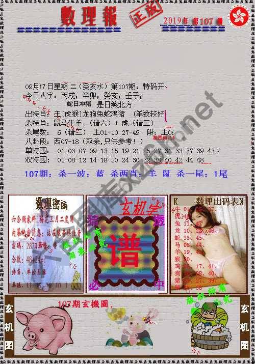 数理报