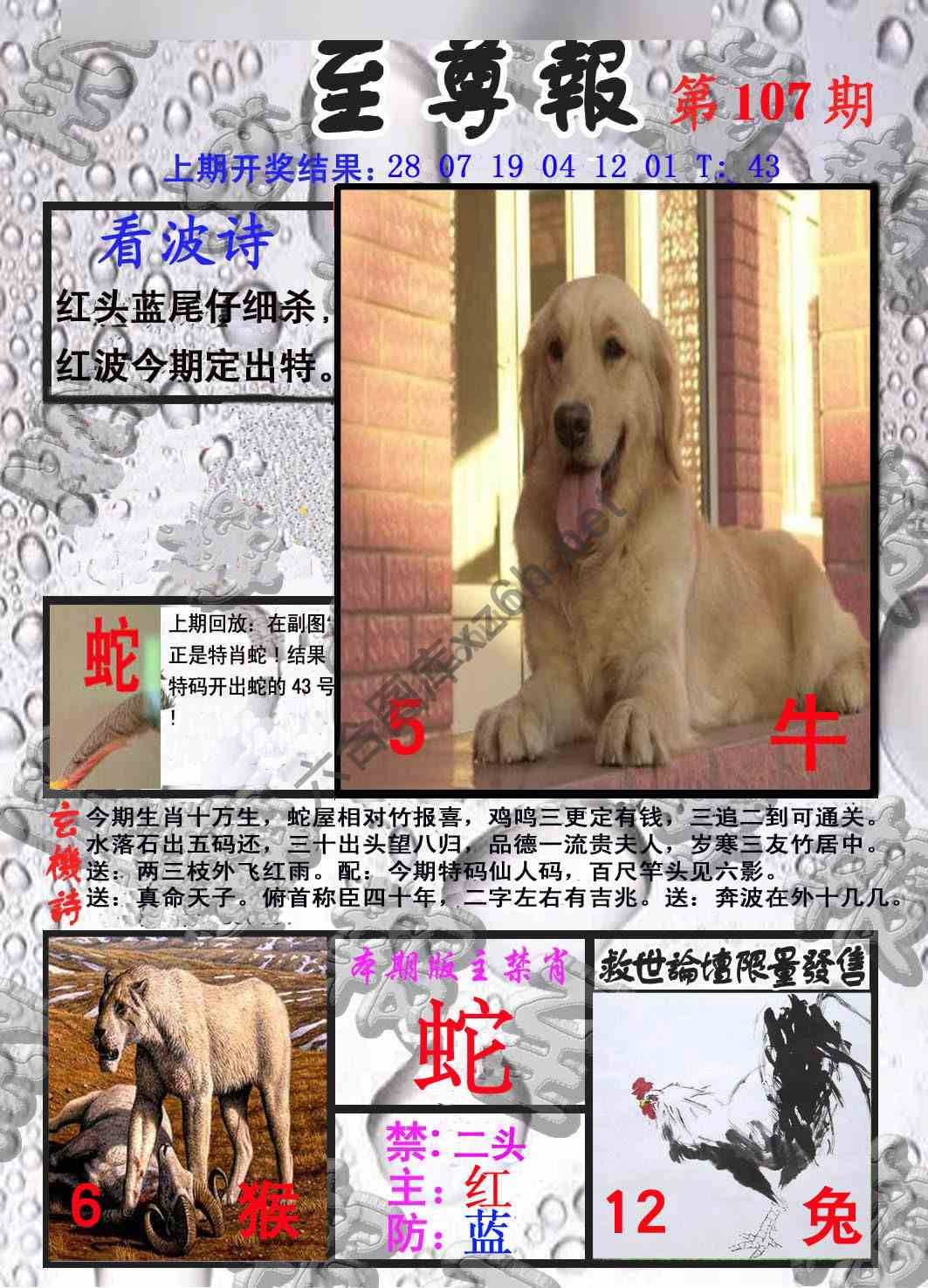 至尊报