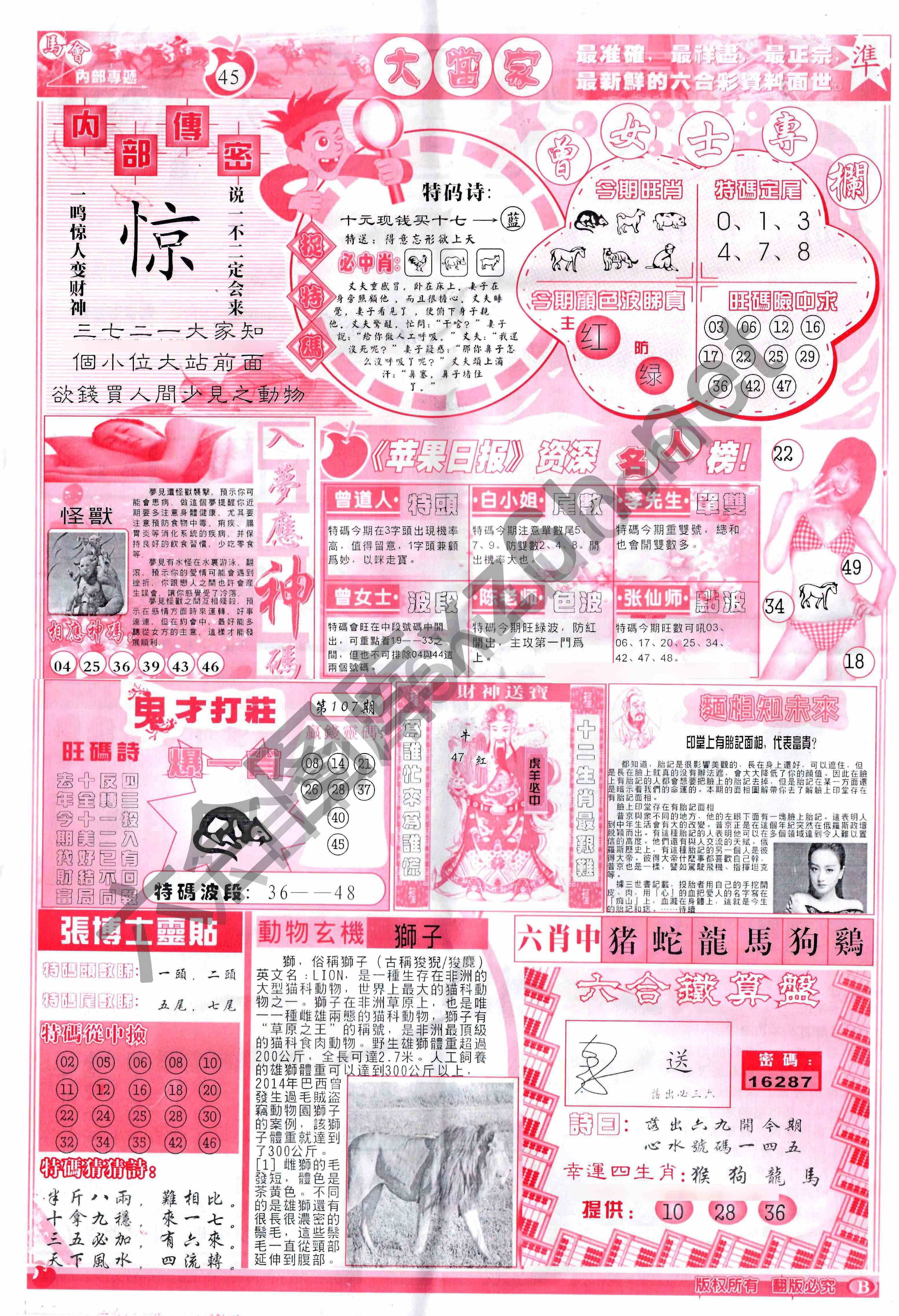 大当家