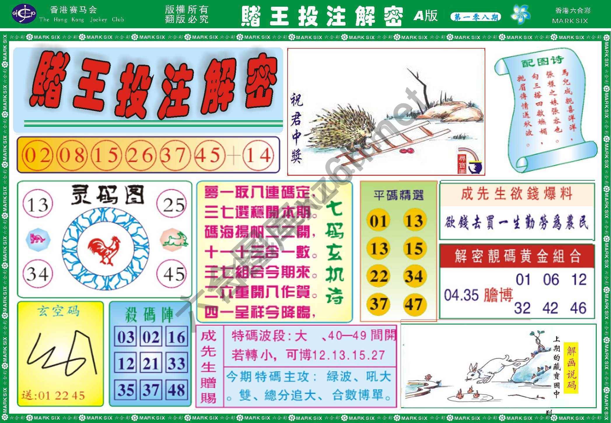 赌王投注解密