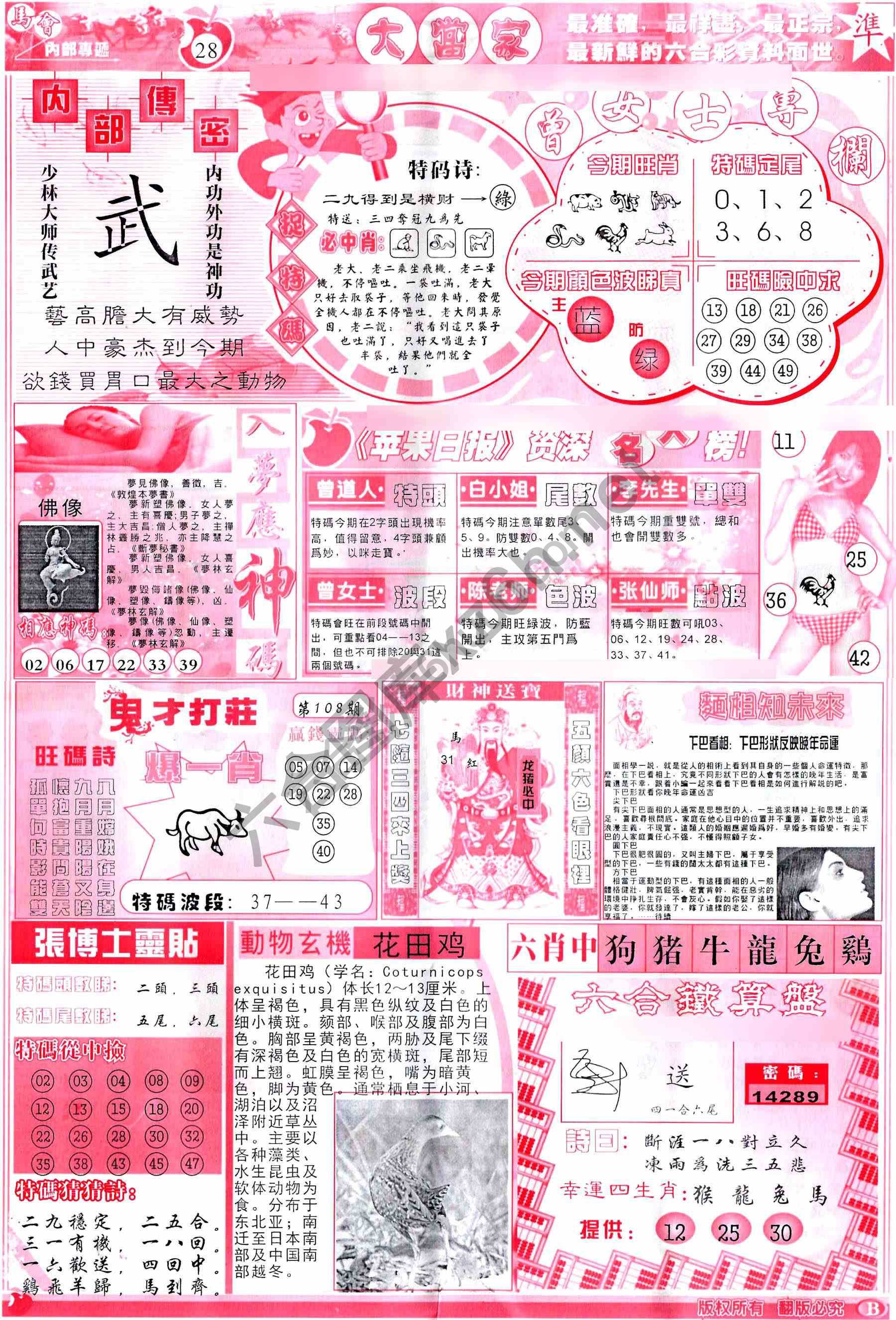 大当家