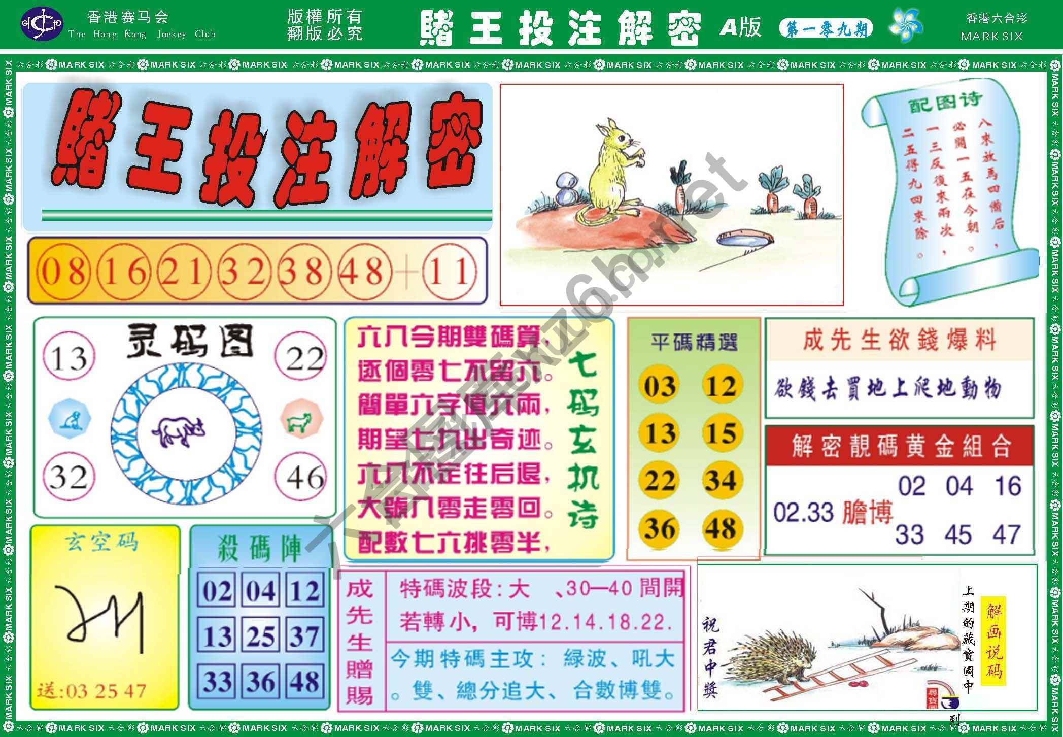 赌王投注解密