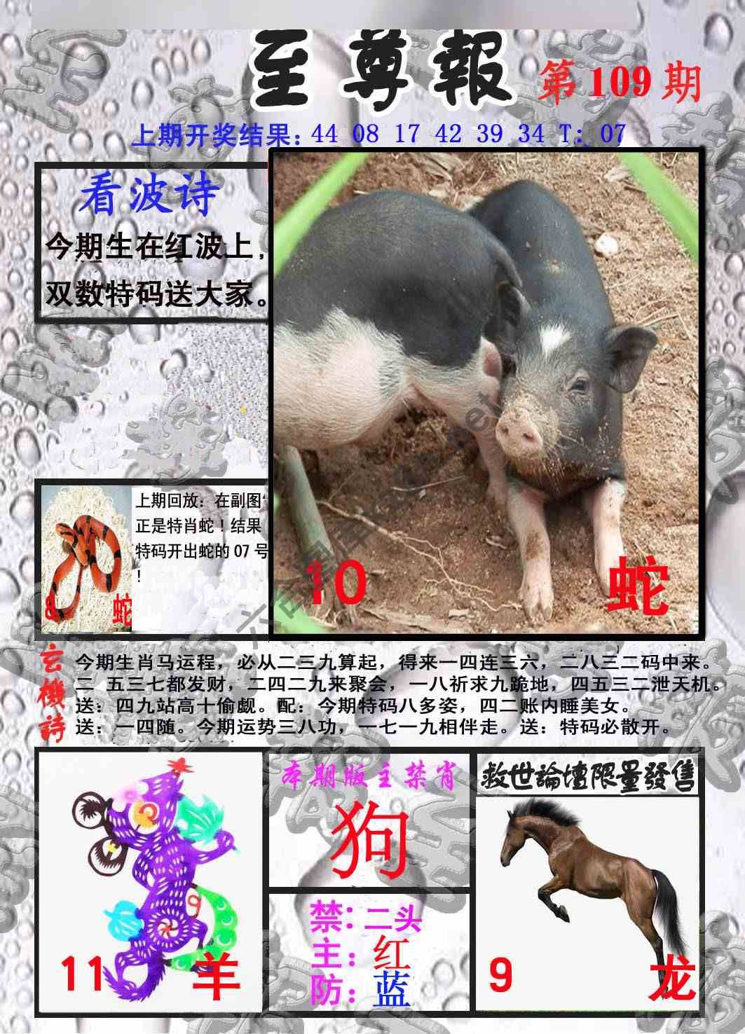 至尊报