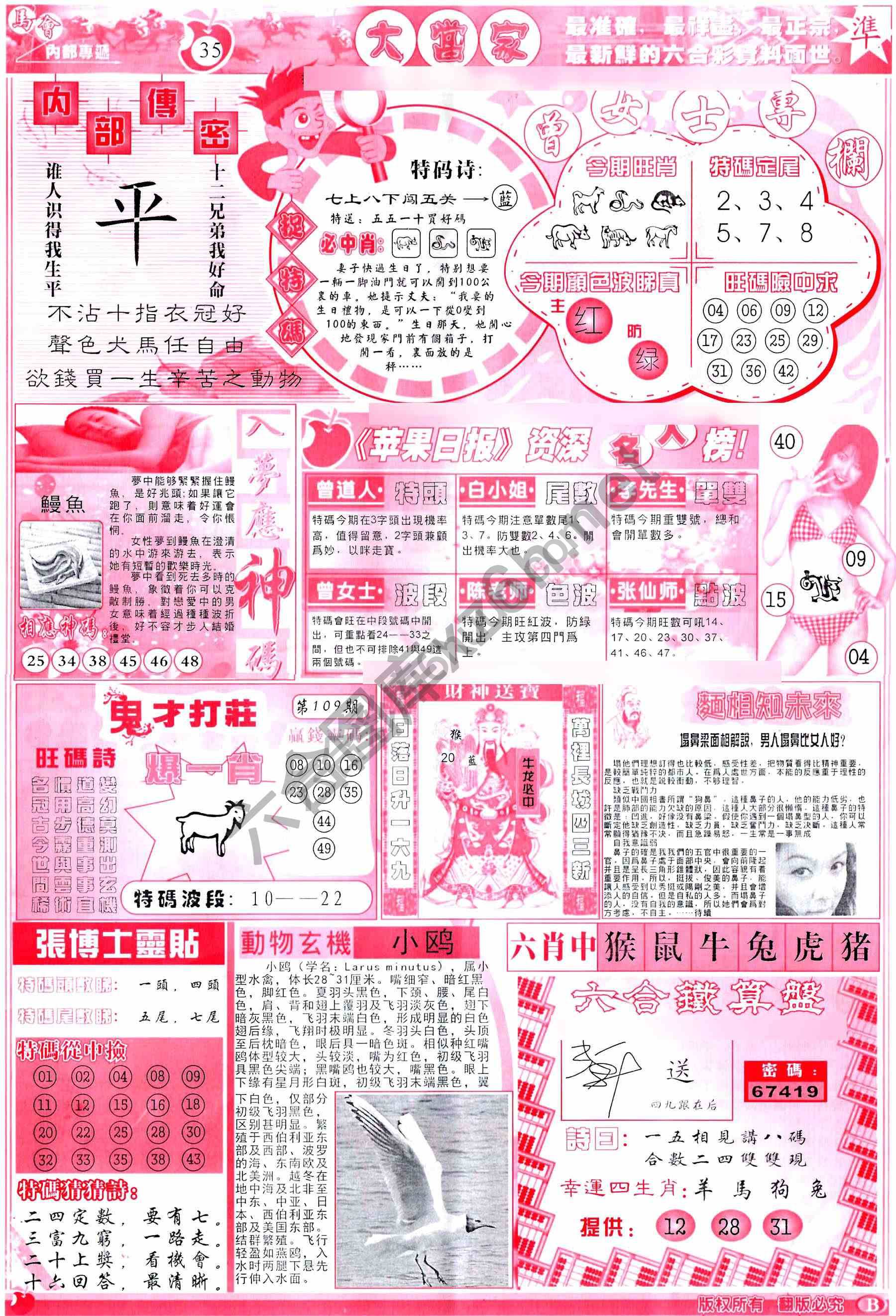 大当家