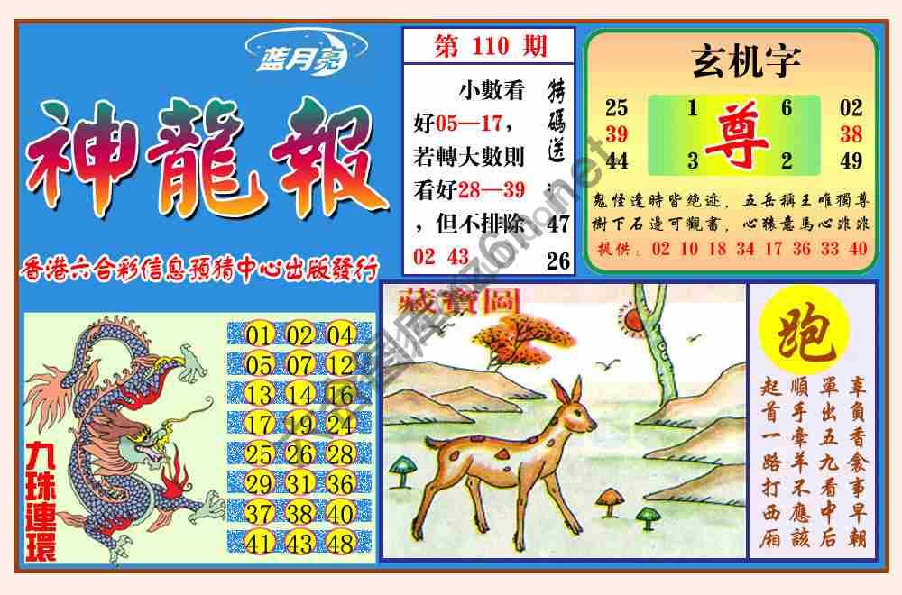 蓝月亮神龙报