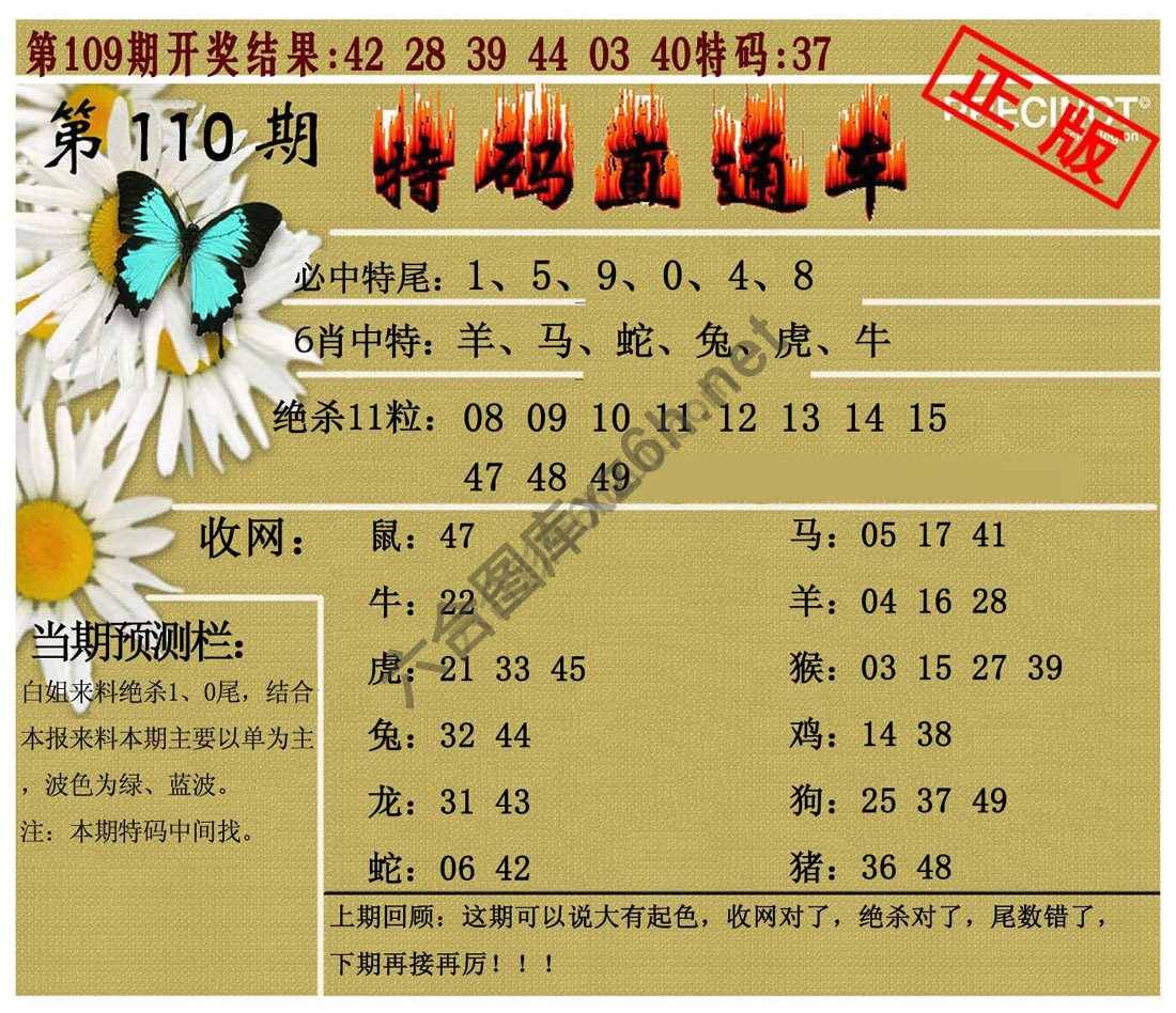 特码直通车