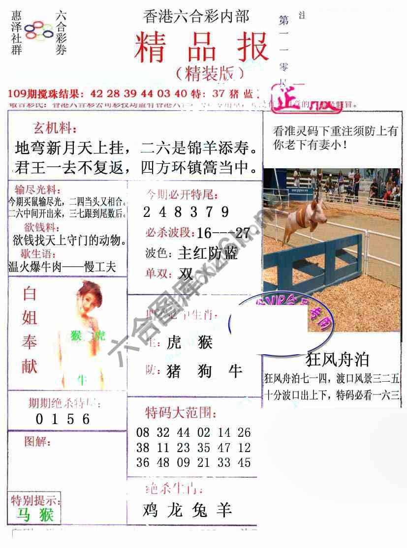 新精品报