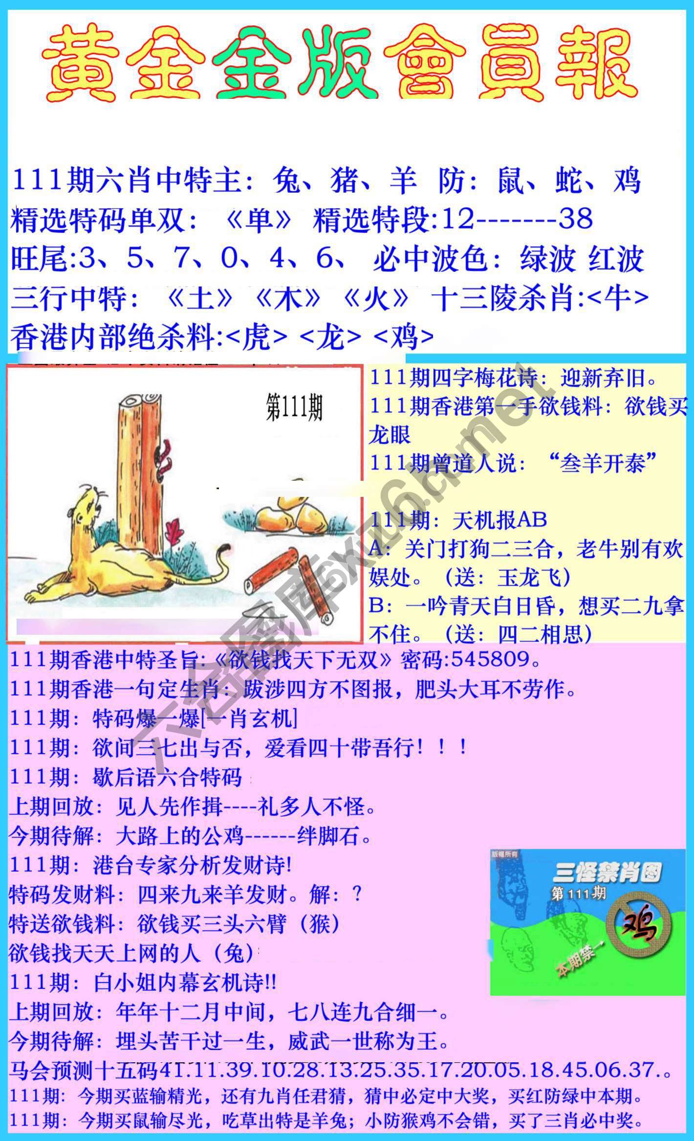 黄金金版会员报