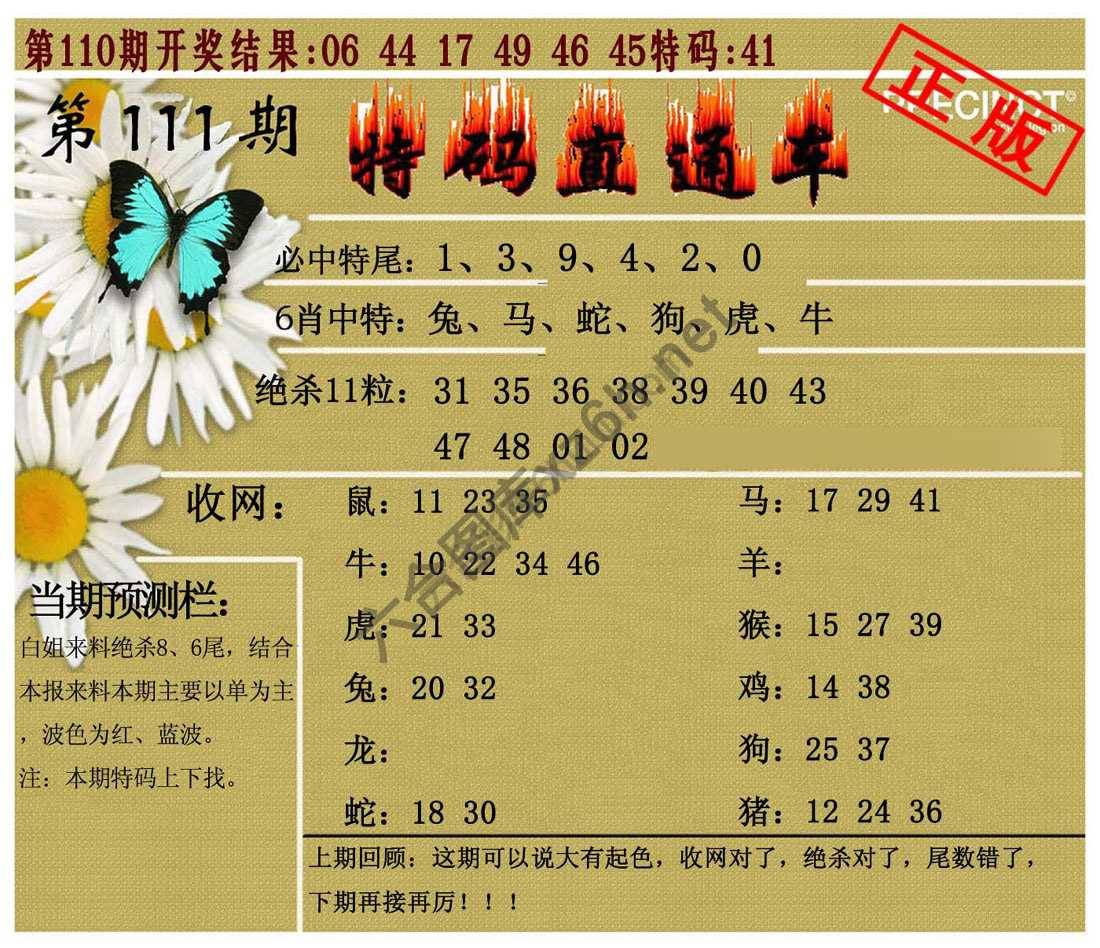 特码直通车