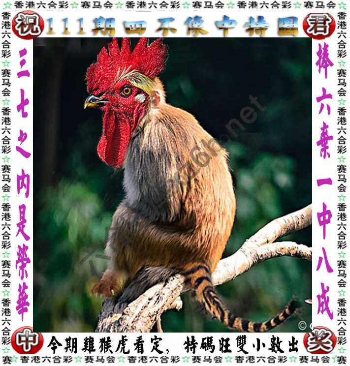 四不像中特图