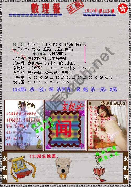 数理报