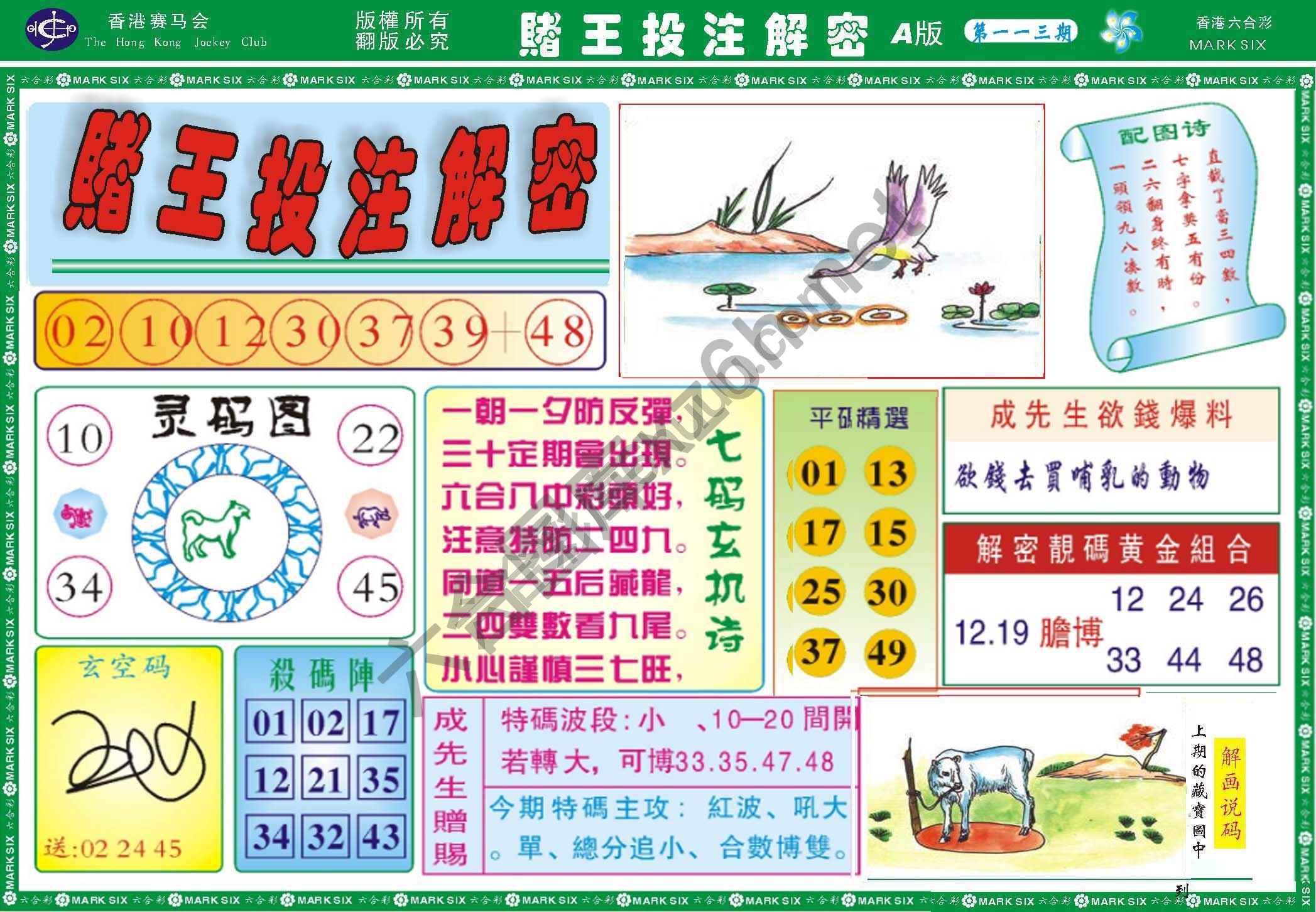 赌王投注解密