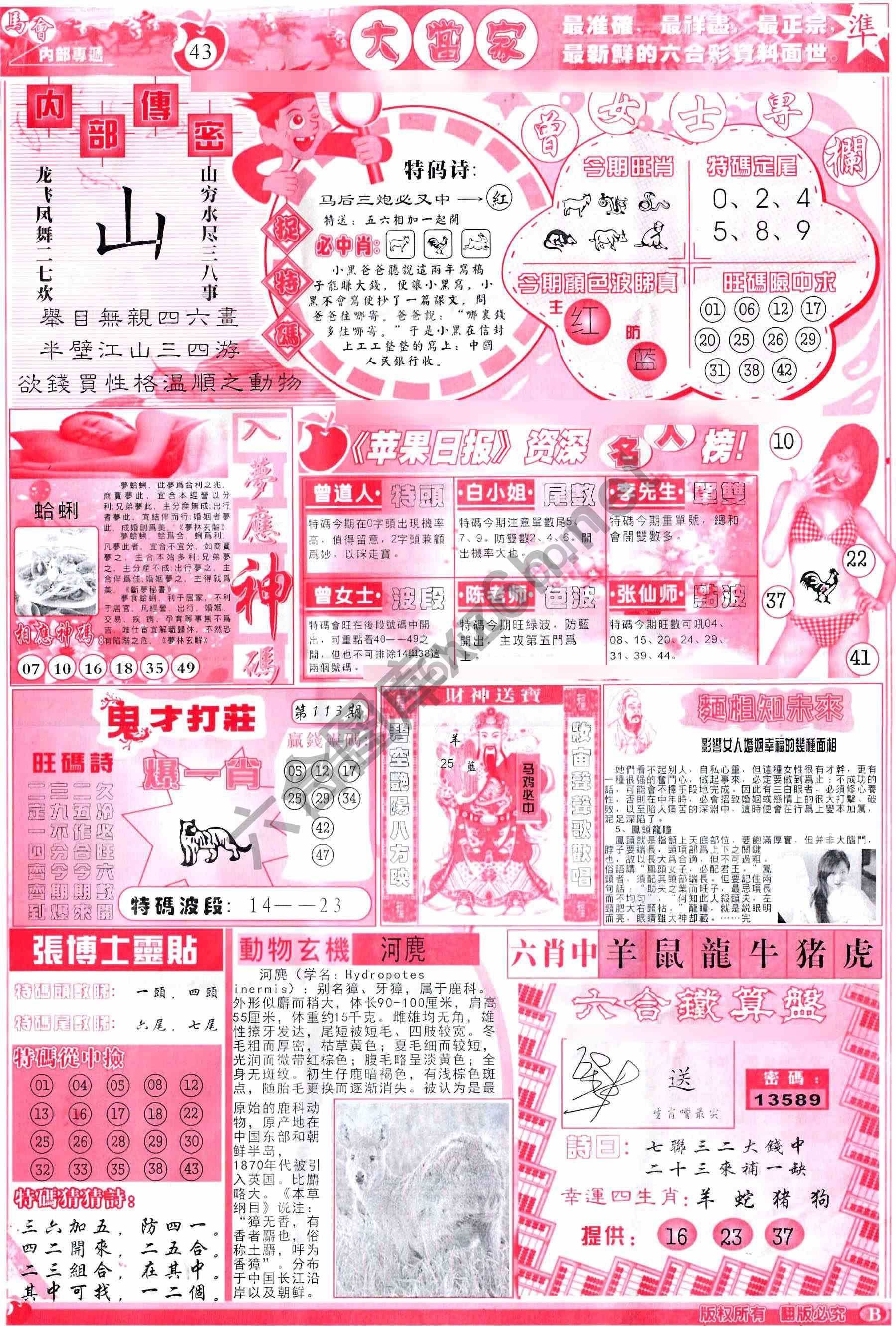 大当家