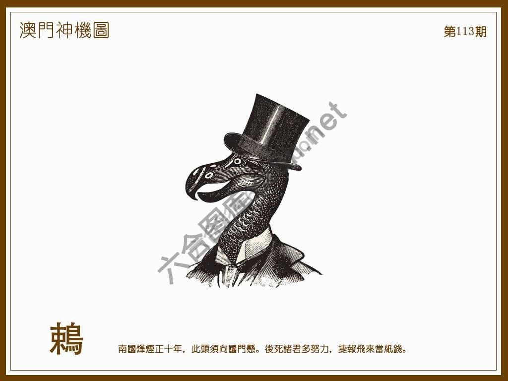 澳门神机图