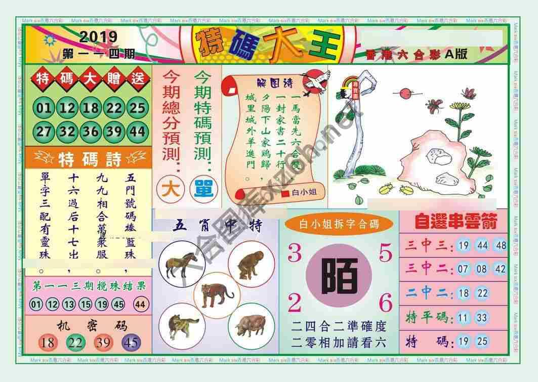 特码大王