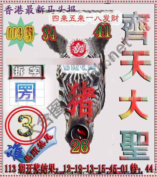 香港马头报