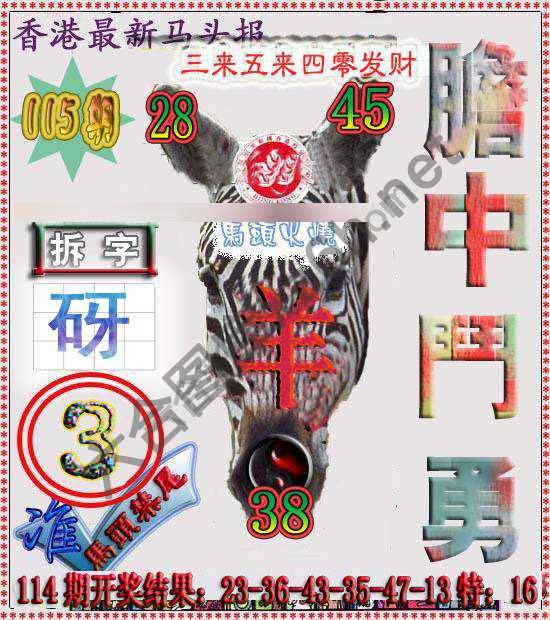 香港马头报