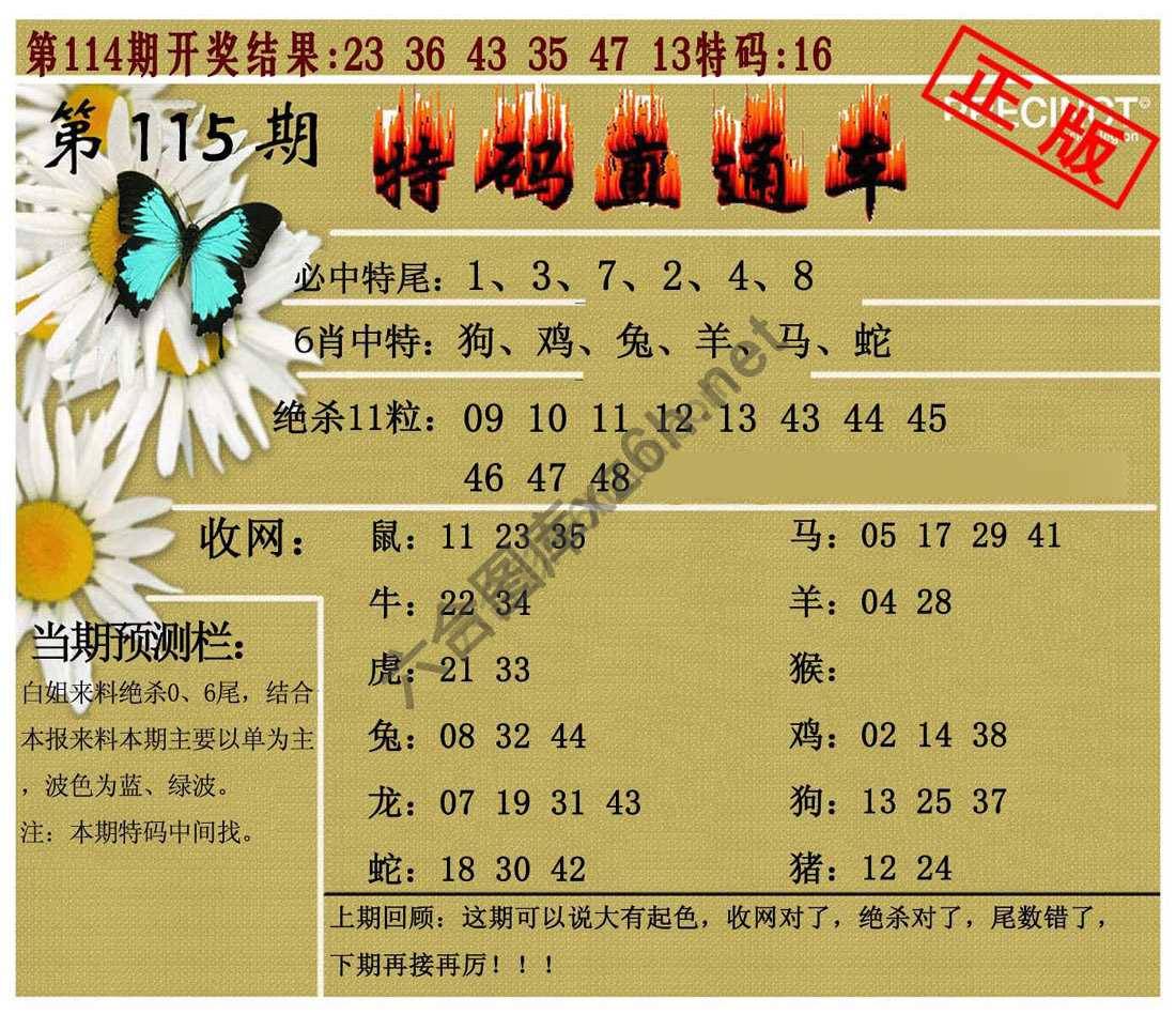 特码直通车