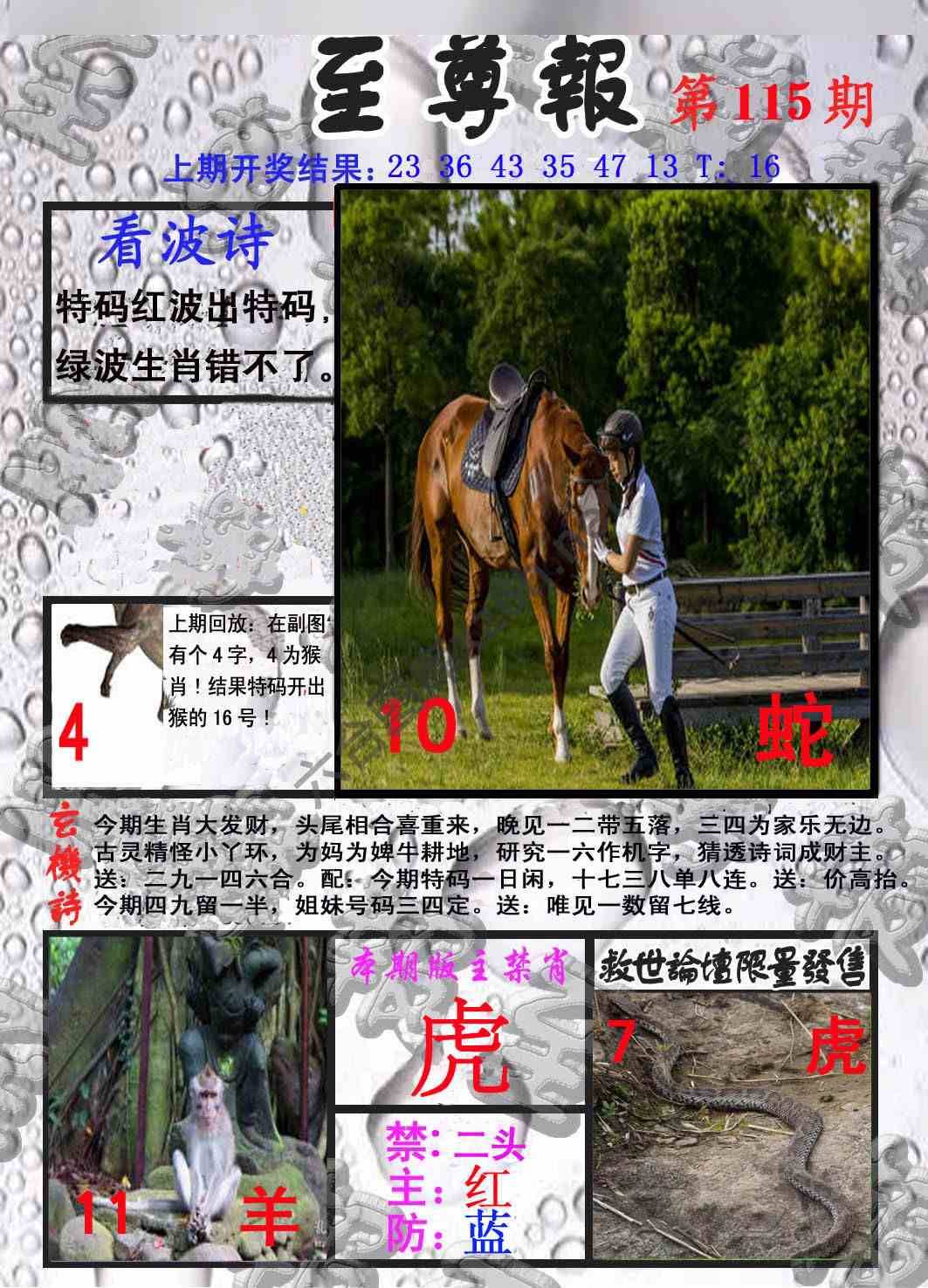 至尊报