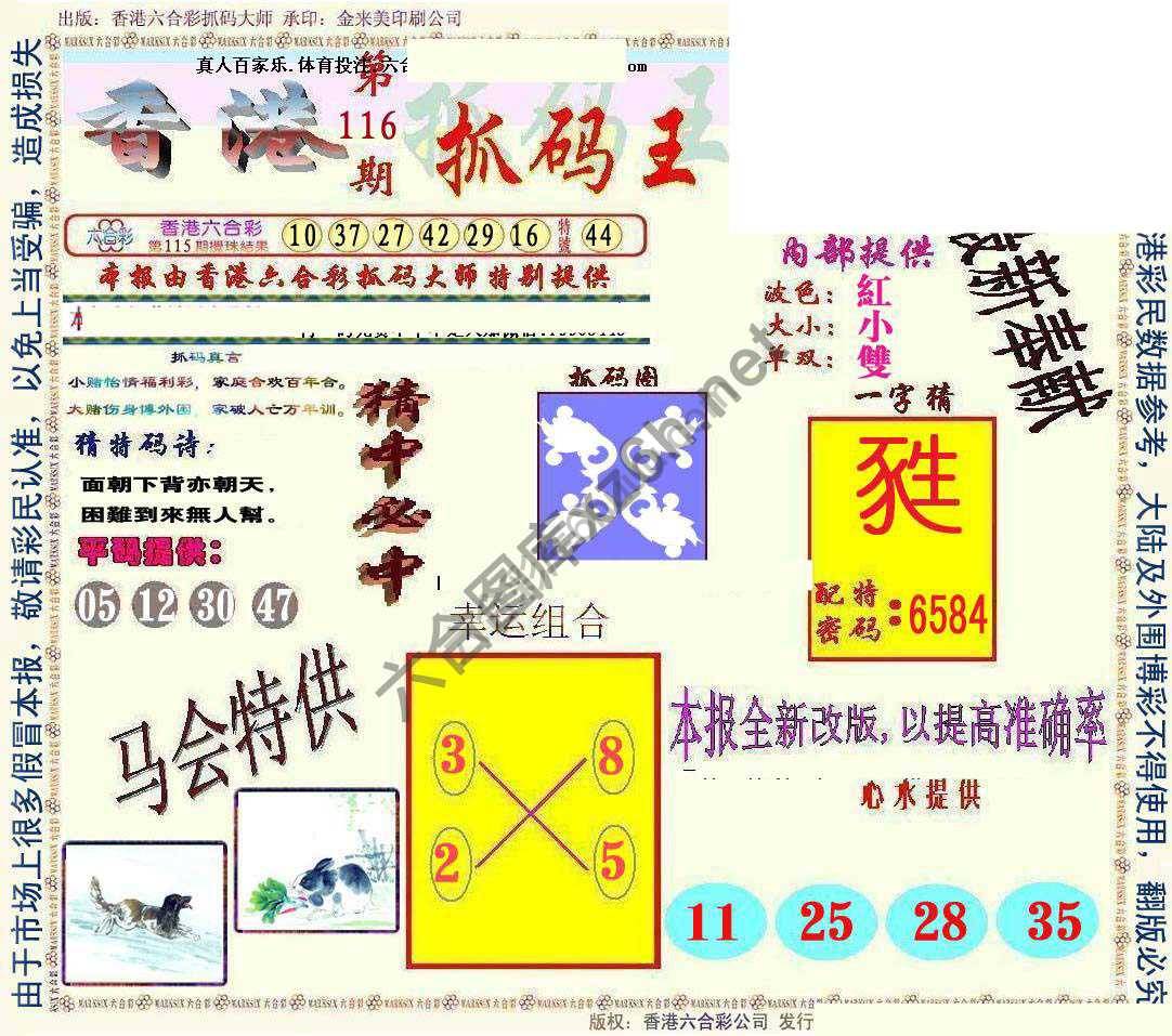 新抓码王