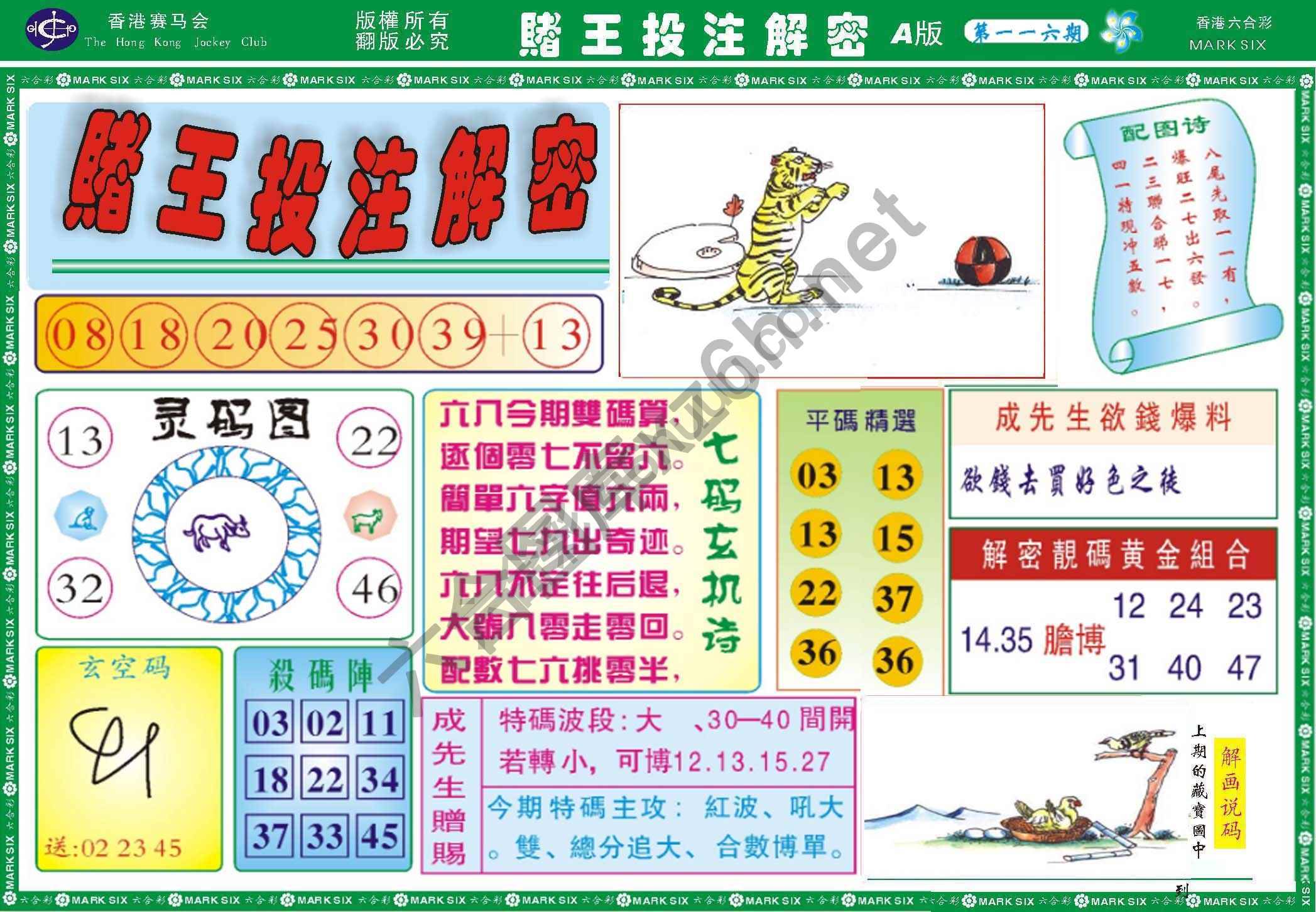 赌王投注解密