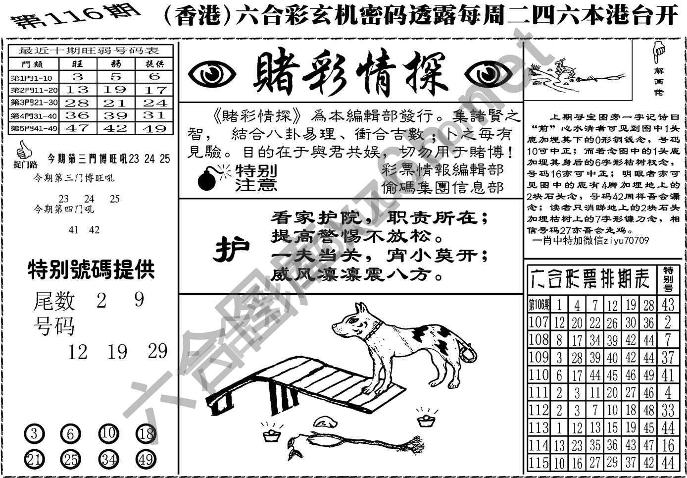 赌彩情探