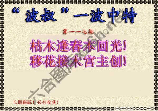 波叔一波中特