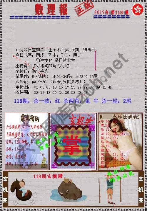 数理报