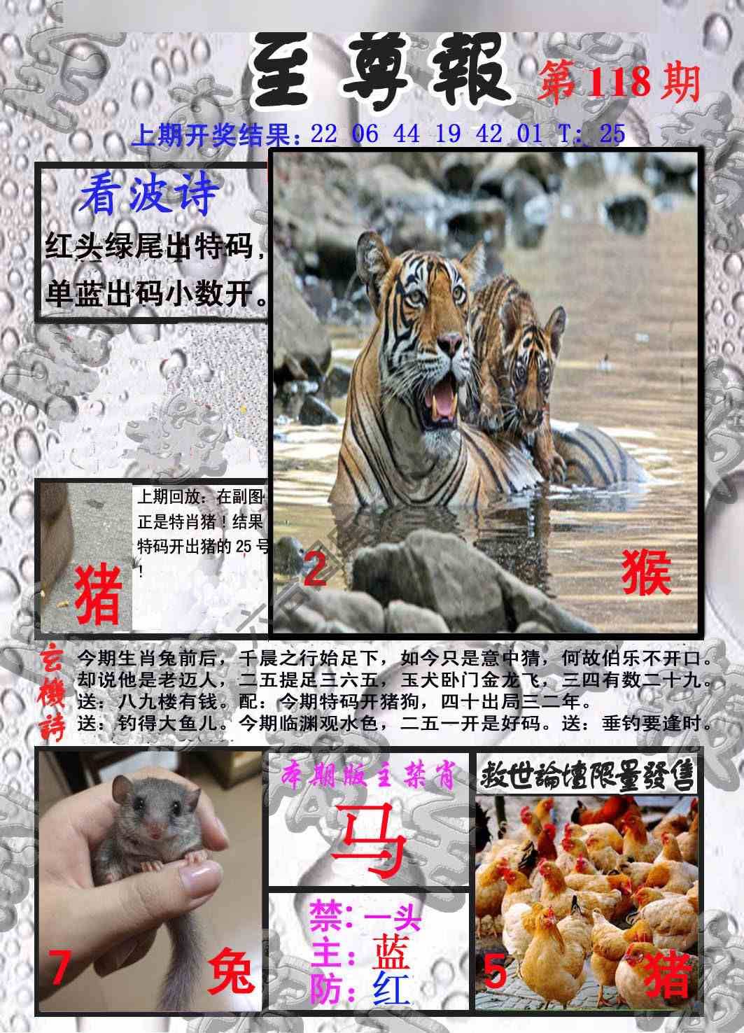至尊报