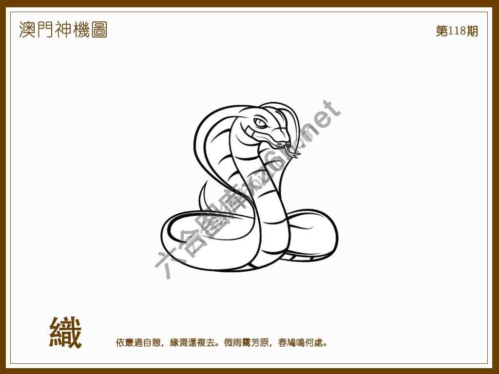 澳门神机图