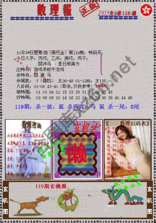 数理报