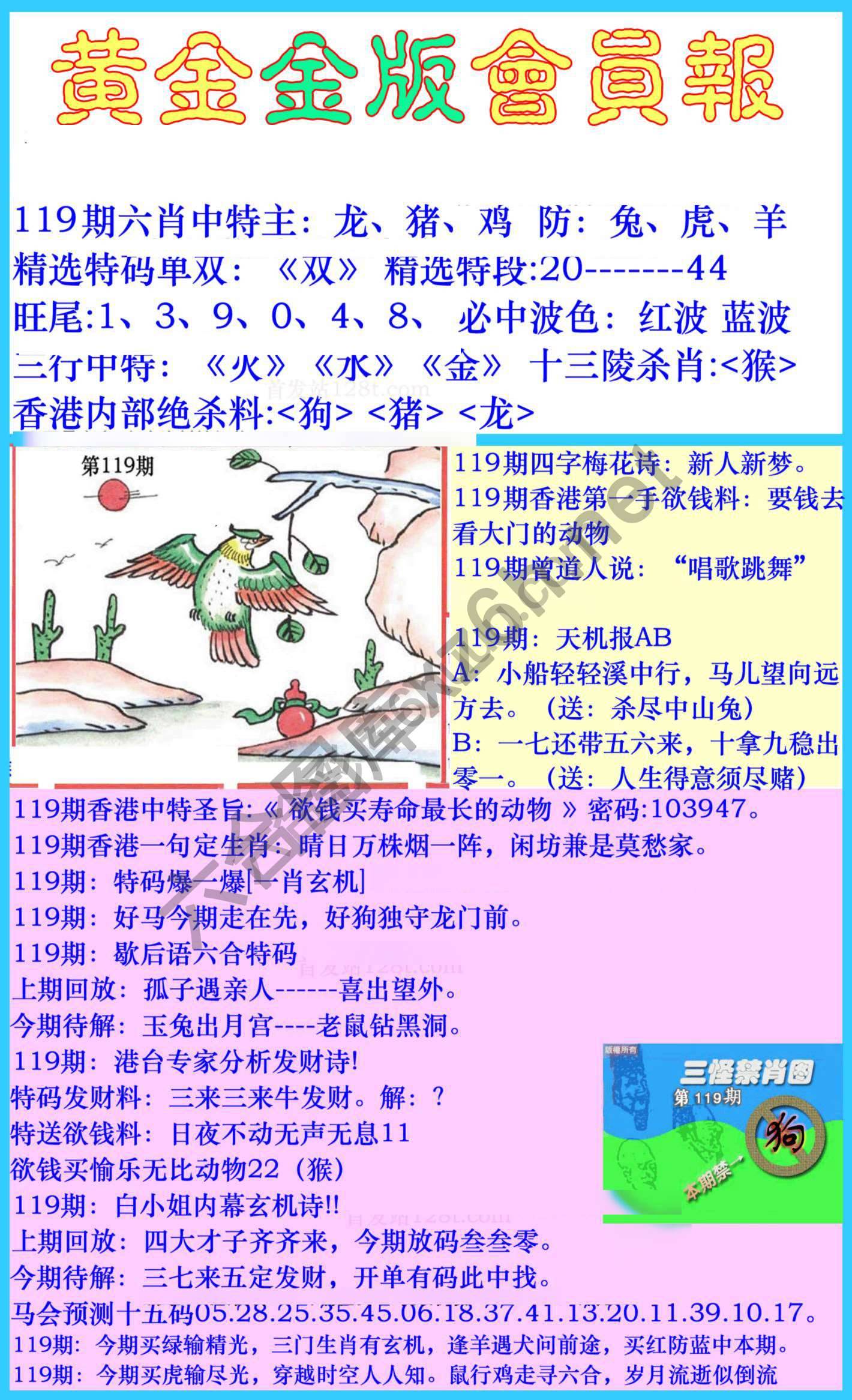 黄金金版会员报