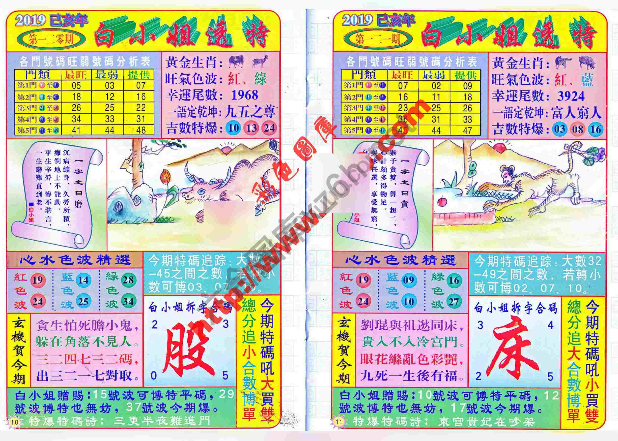 白小姐透特