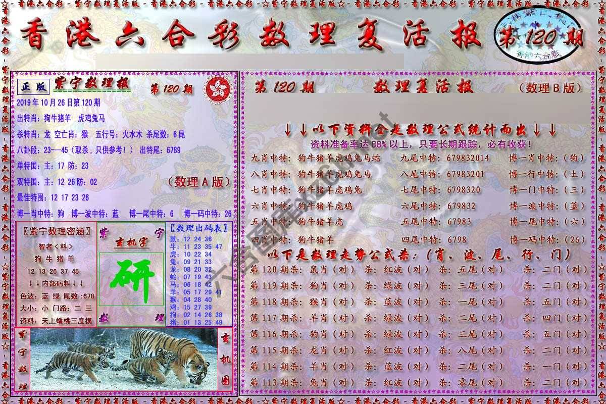数理复活报