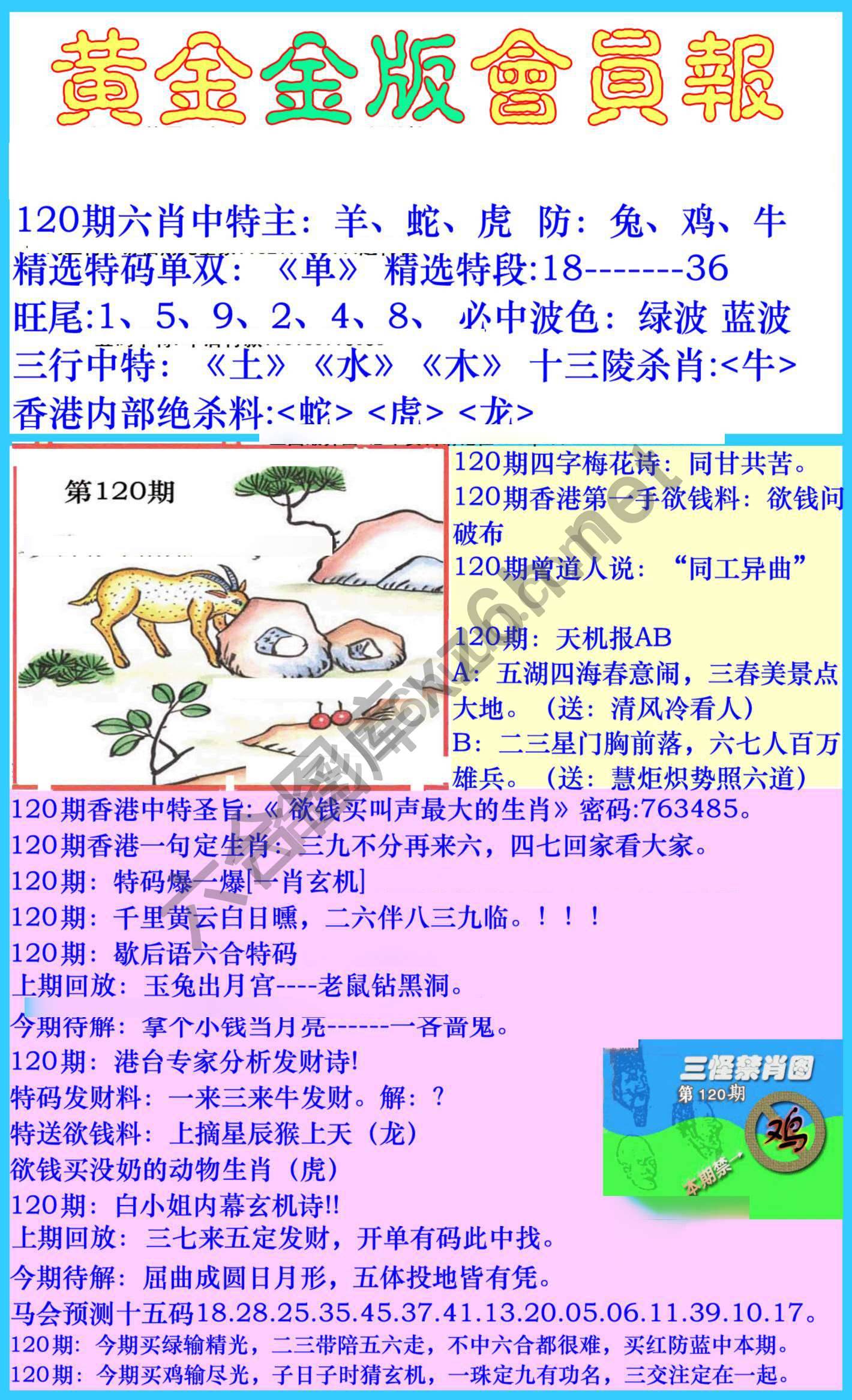 黄金金版会员报