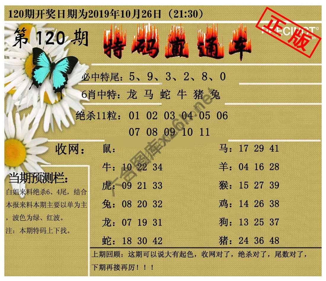特码直通车